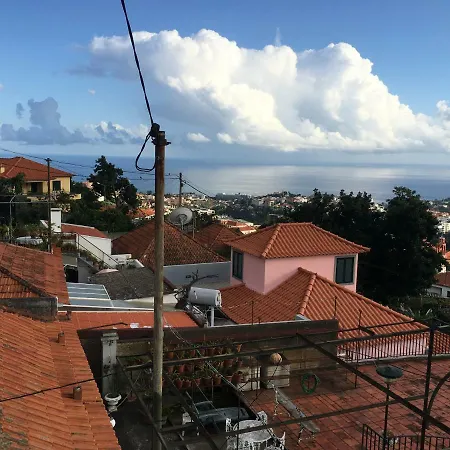 Funchal In Tourist Area With Ocean View * Funchal (Madeira)