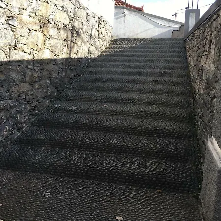 Funchal In Tourist Area With Ocean View Apartment